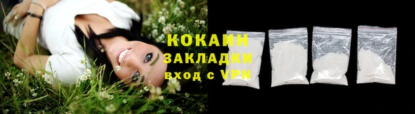 ГАЛЛЮЦИНОГЕННЫЕ ГРИБЫ Богданович