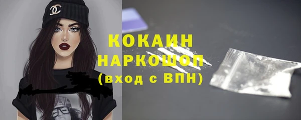 винт Верея